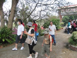 點圖放大